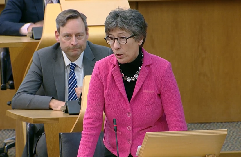 Liz Smith MSP in the Parliamentary Chamber